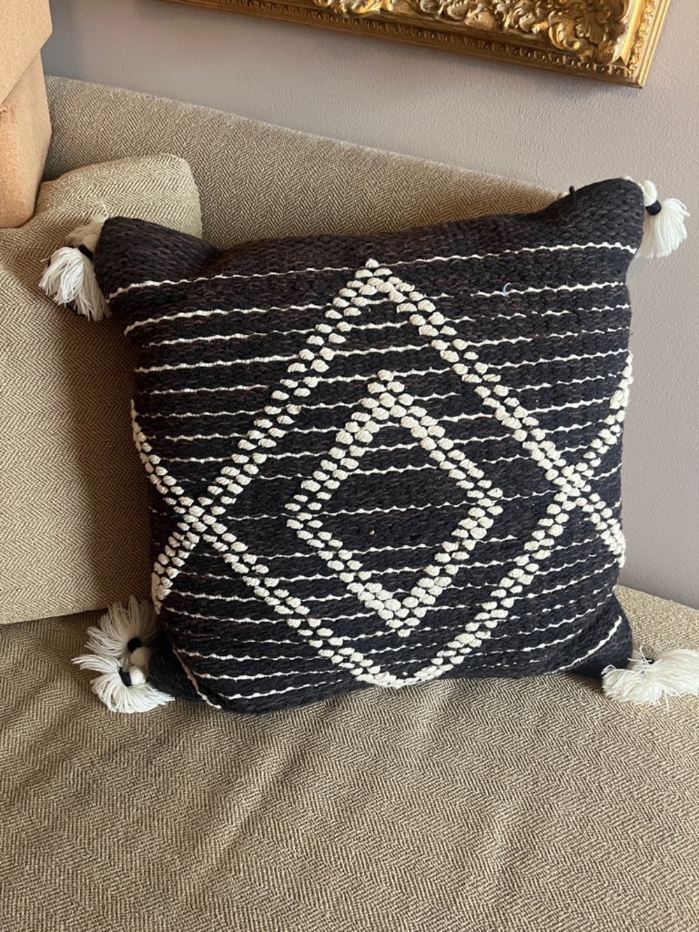 Handwoven Black & White Diamond Throw Pillow with Tassels